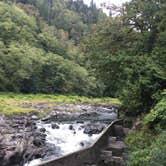 Review photo of Tillamook State Forest Nehalem Falls Campground by Bjorn S., September 16, 2018