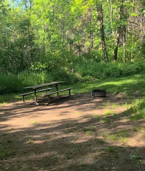 Camper submitted image from Moose Lake State Park Campground - 2