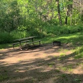 Review photo of Moose Lake State Park Campground by Tori K., November 10, 2022