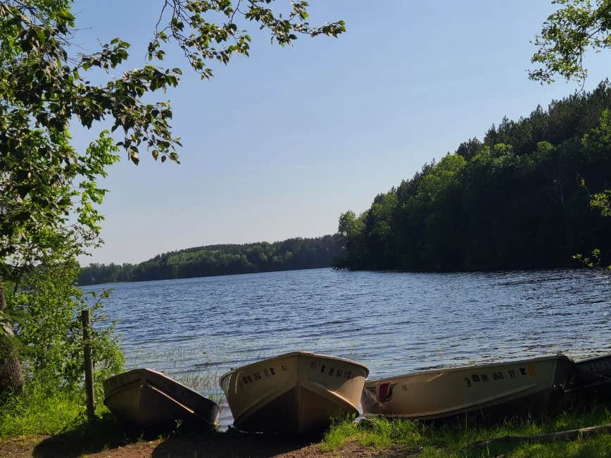 Camper submitted image from Moose Lake State Park Campground - 5