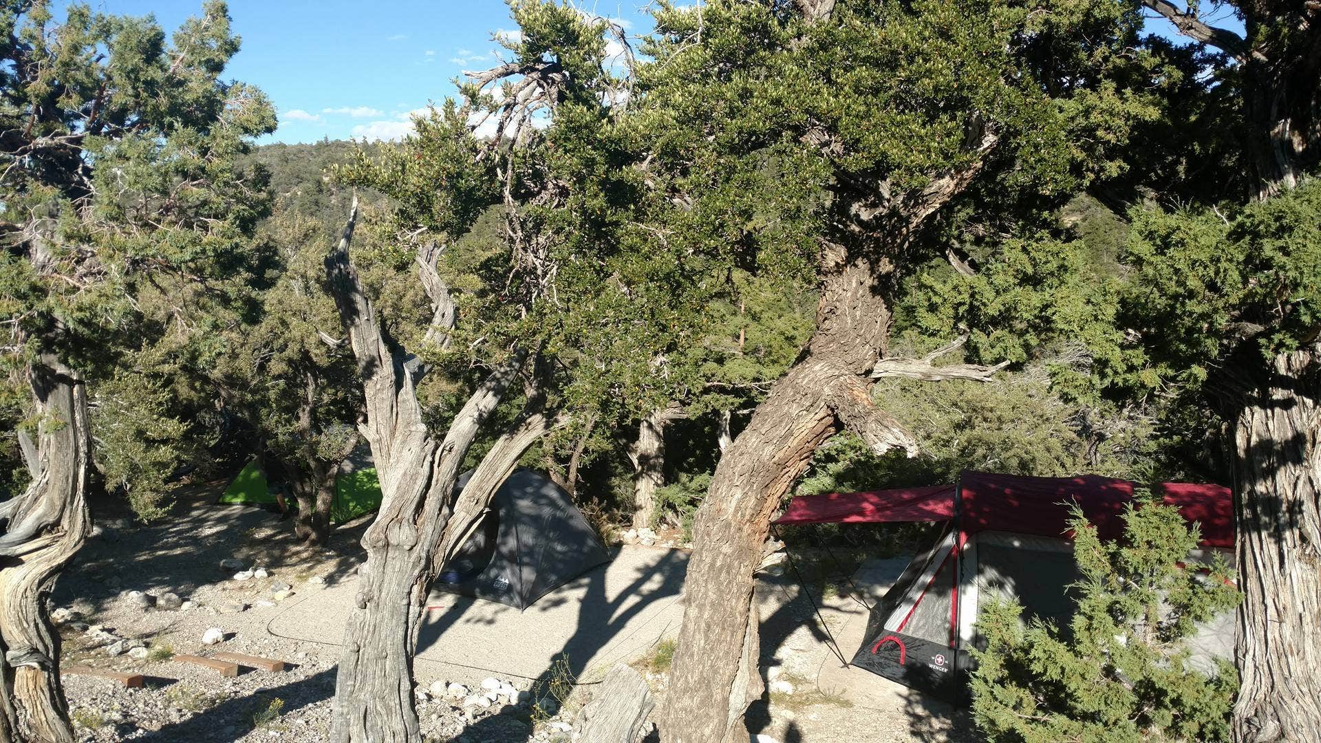 Camper submitted image from Mahogany Grove - 2