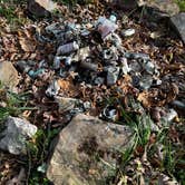 Review photo of Bi-Color Campground (Catoosa WMA) by Rachel G., November 10, 2022