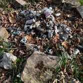 Review photo of Bi-Color Campground (Catoosa WMA)  by Rachel G., November 10, 2022