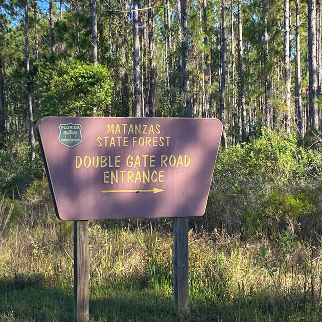 Matanzas State Forest Camping | St Augustine, FL