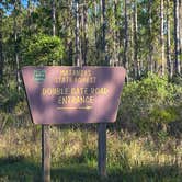 Review photo of Matanzas State Forest by Stuart K., November 10, 2022