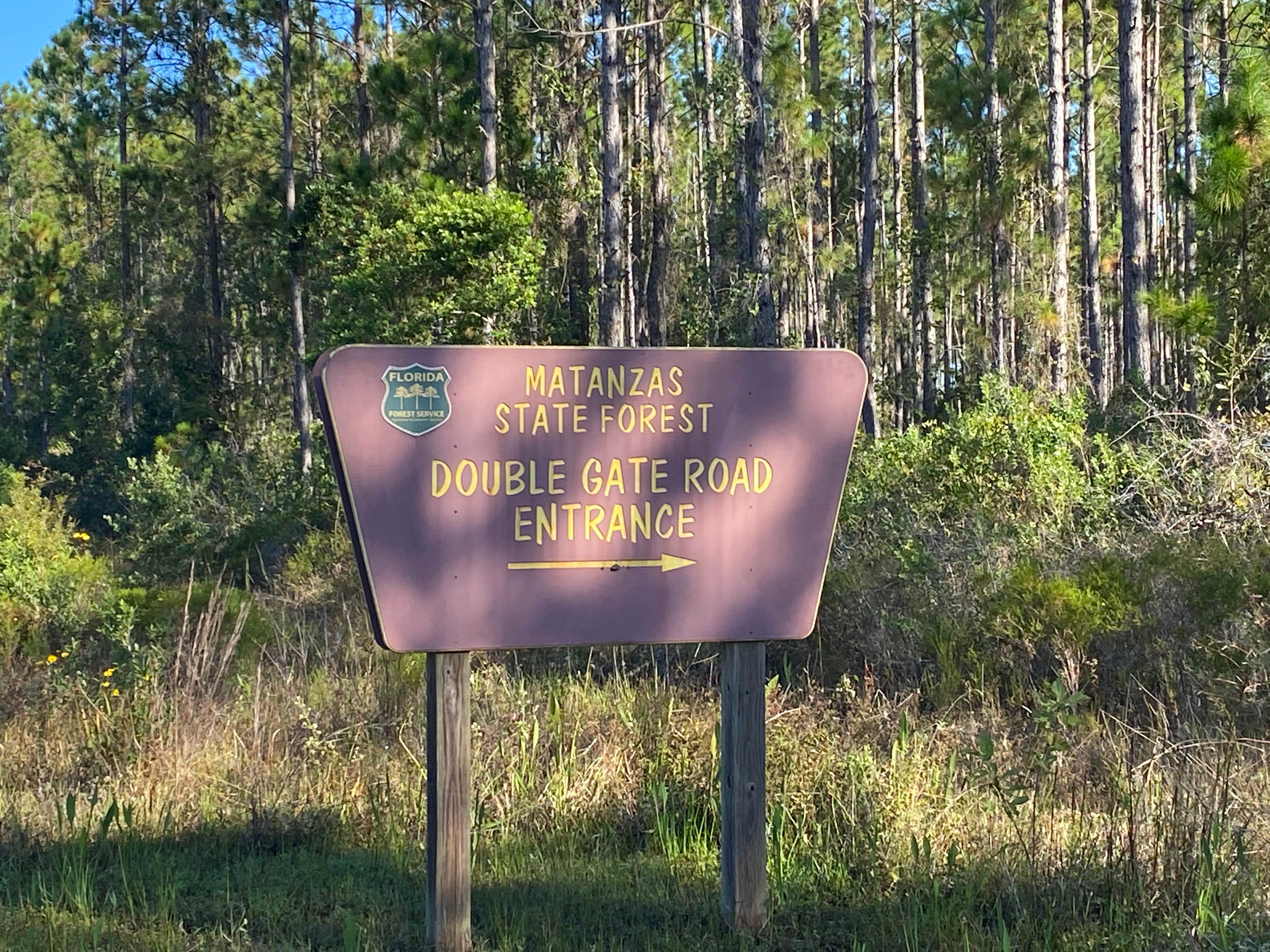 Camper submitted image from Cedar Creek Campground — Matanzas State Forest - 2