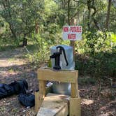 Review photo of Matanzas State Forest by Stuart K., November 10, 2022