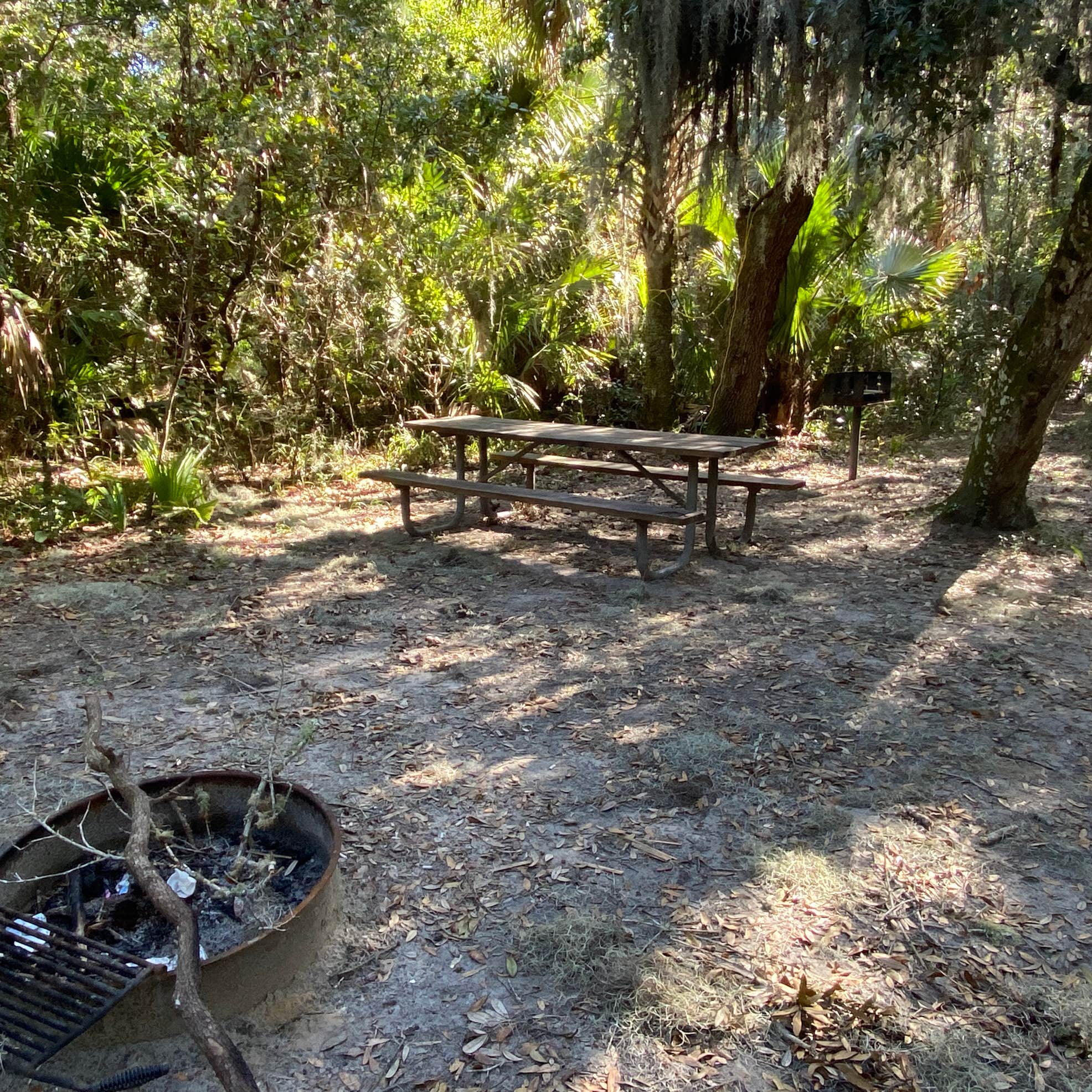 Matanzas State Forest Camping | The Dyrt