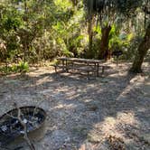 Review photo of Matanzas State Forest by Stuart K., November 10, 2022