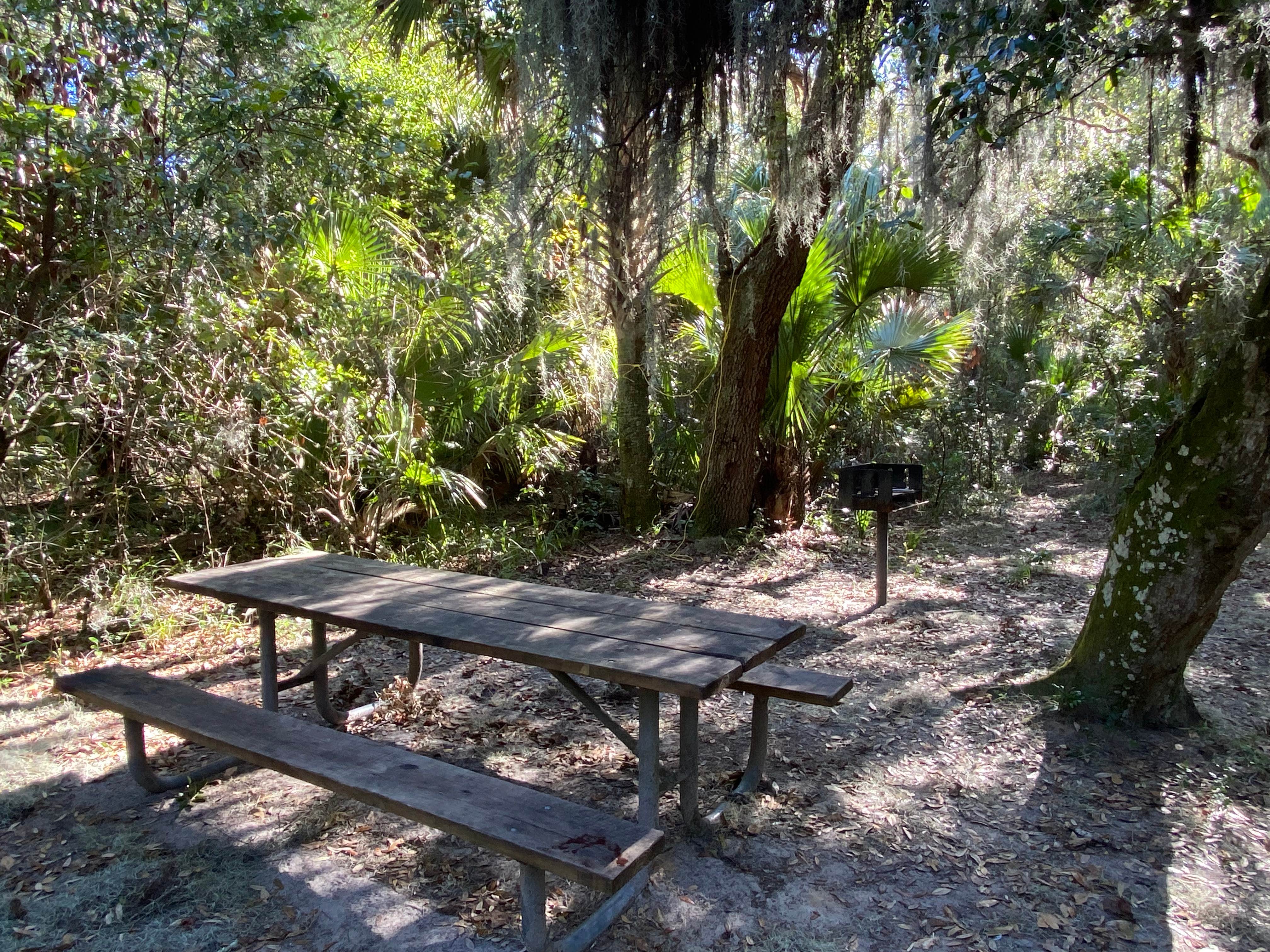 Camper-submitted photo at Cedar Creek Campground — Matanzas State Forest near Ormond Beach, FL