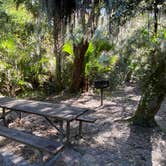 Review photo of Matanzas State Forest by Stuart K., November 10, 2022