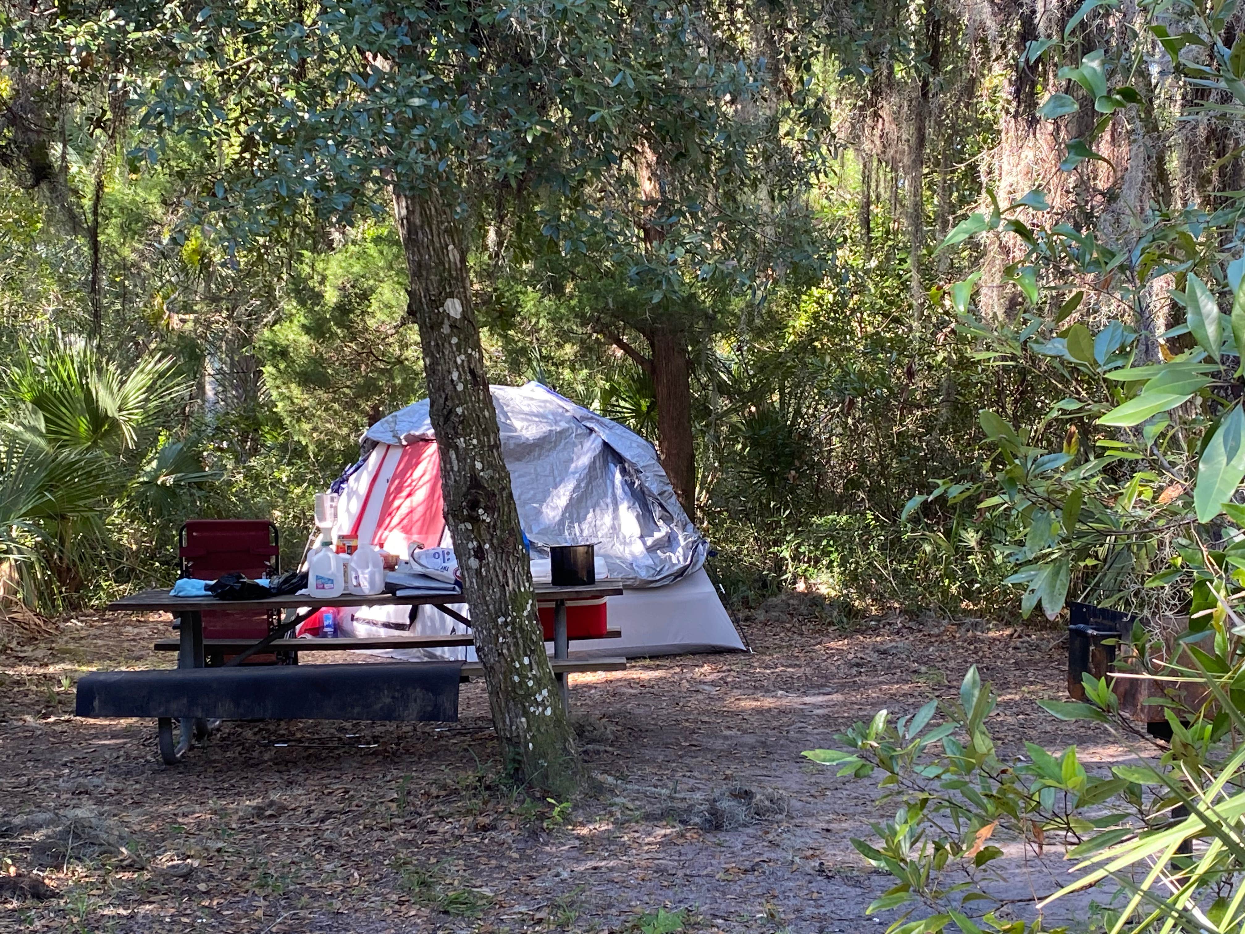 Stuart K.'s photo of tent camping at Cedar Creek Campground — Matanzas State Forest near Fleming Island, FL