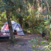 Review photo of Matanzas State Forest by Stuart K., November 10, 2022