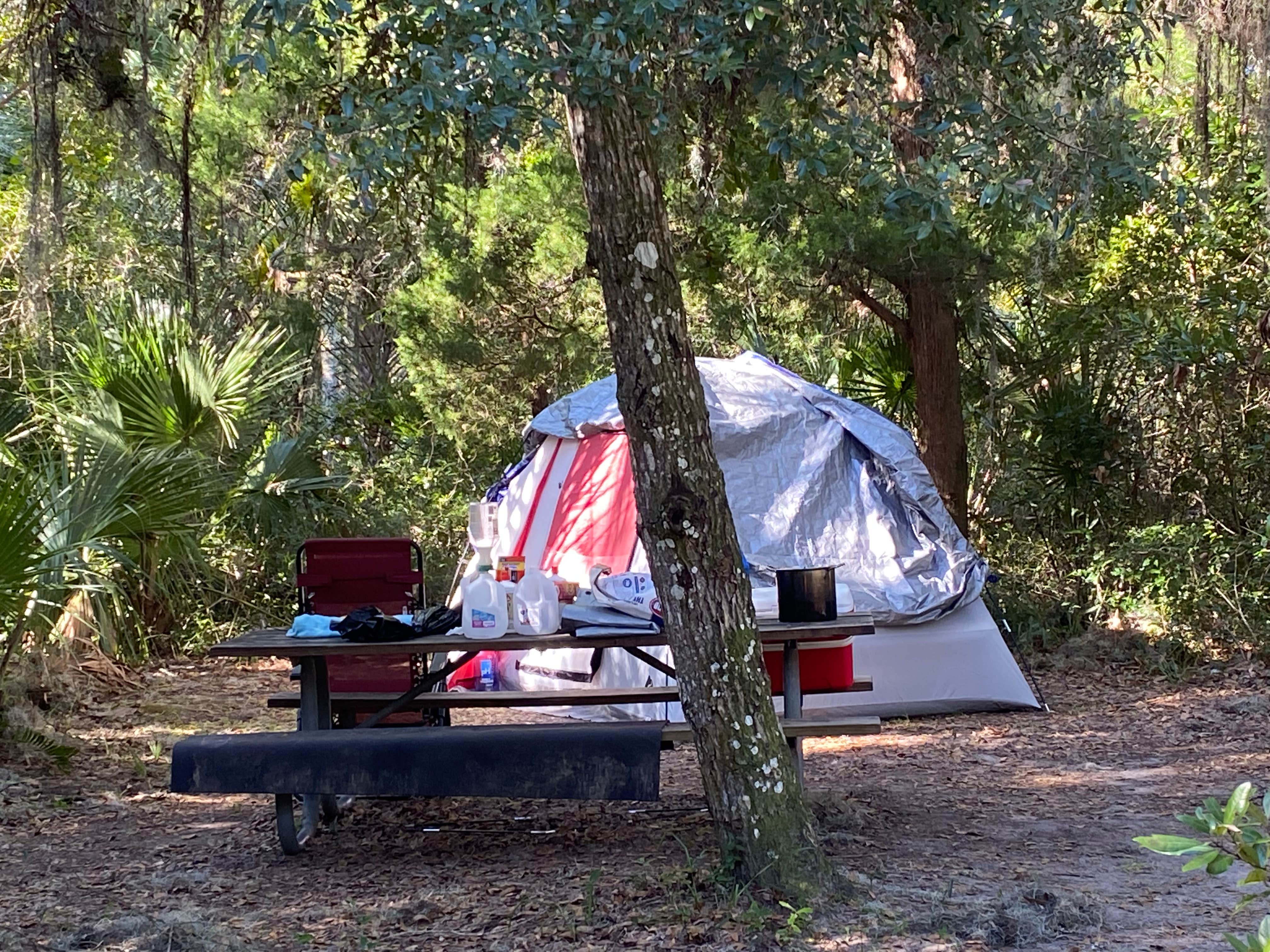 Camping near Bryn Mawr Ocean Resort: Cedar Creek Campground — Matanzas State Forest, St. Augustine, Florida