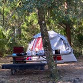 Review photo of Matanzas State Forest by Stuart K., November 10, 2022