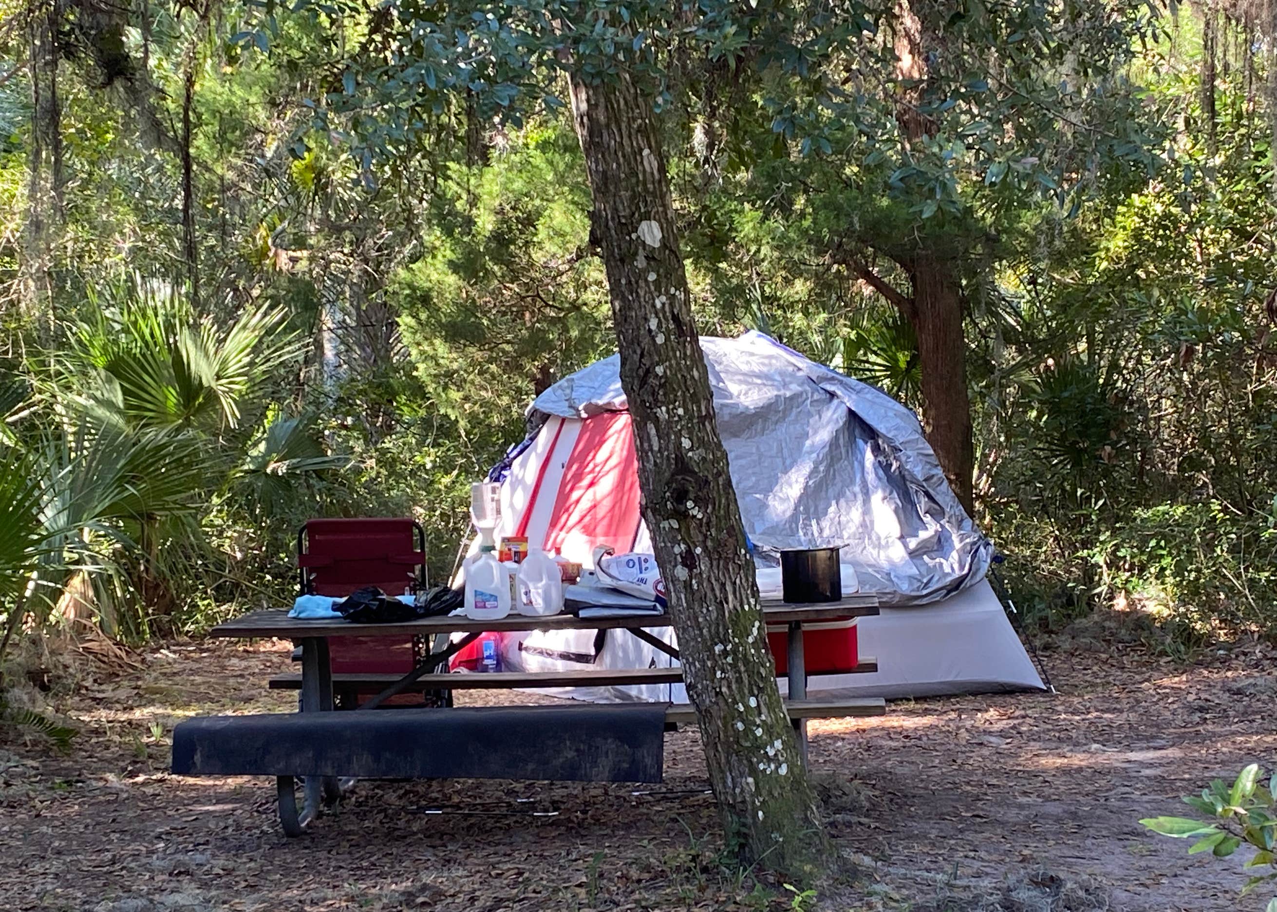 Matanzas State Forest Camping | The Dyrt