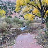 Review photo of Vista Linda Campground — Santa Fe National Forest by Zachary H., November 10, 2022