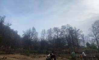 Taylor's photo of camping with a horse at Paradise Ridge Permaculture near Greer, SC