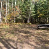 Review photo of Devil Track Lake Campground by Scott M., November 11, 2022