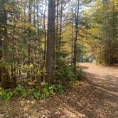 Review photo of Devil Track Lake Campground by Scott M., November 11, 2022