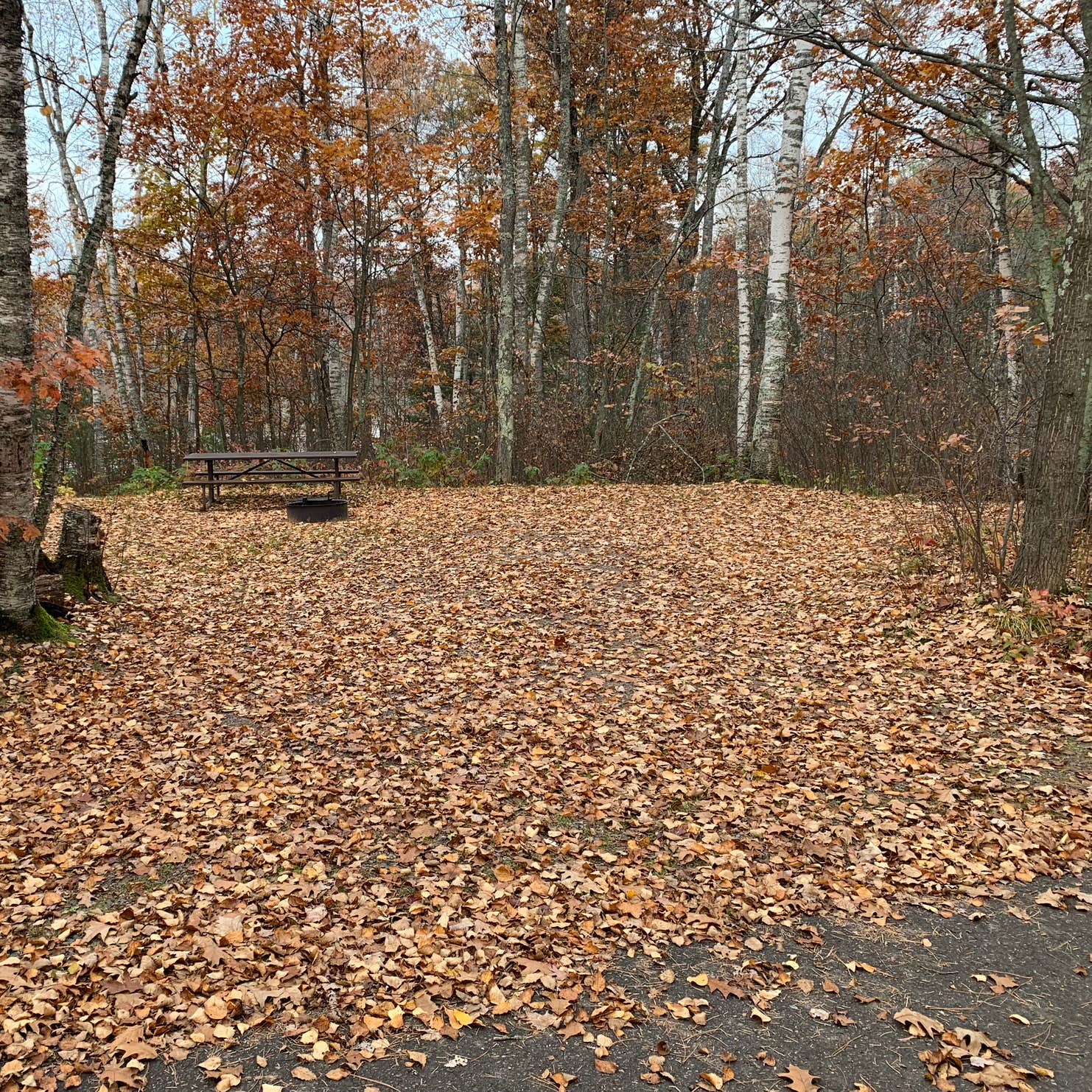 Upper Gresham Lake Campground — Northern Highland State Forest Boulder Junction, WI