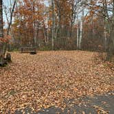 Review photo of Upper Gresham Lake Campground by Scott M., November 11, 2022