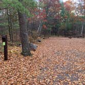 Review photo of Upper Gresham Lake Campground — Northern Highland State Forest by Scott M., November 11, 2022