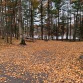 Review photo of Upper Gresham Lake Campground — Northern Highland State Forest by Scott M., November 11, 2022