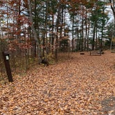 Review photo of Upper Gresham Lake Campground — Northern Highland State Forest by Scott M., November 11, 2022