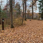 Review photo of Upper Gresham Lake Campground — Northern Highland State Forest by Scott M., November 11, 2022