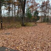 Review photo of Upper Gresham Lake Campground — Northern Highland State Forest by Scott M., November 11, 2022