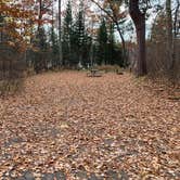 Review photo of Upper Gresham Lake Campground — Northern Highland State Forest by Scott M., November 11, 2022