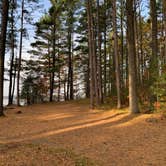 Review photo of North Trout Lake Campground — Northern Highland State Forest by Scott M., November 11, 2022