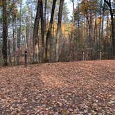 Review photo of North Trout Lake Campground — Northern Highland State Forest by Scott M., November 11, 2022