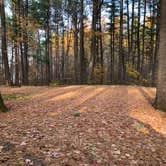 Review photo of North Trout Lake Campground — Northern Highland State Forest by Scott M., November 11, 2022