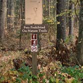 Review photo of North Trout Lake Campground — Northern Highland State Forest by Scott M., November 11, 2022