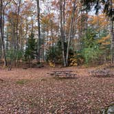 Review photo of North Trout Lake Campground — Northern Highland State Forest by Scott M., November 11, 2022