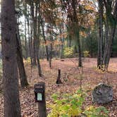 Review photo of North Trout Lake Campground — Northern Highland State Forest by Scott M., November 11, 2022