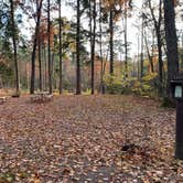 Review photo of North Trout Lake Campground — Northern Highland State Forest by Scott M., November 11, 2022