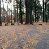 Review photo of North Trout Lake Campground — Northern Highland State Forest by Scott M., November 11, 2022