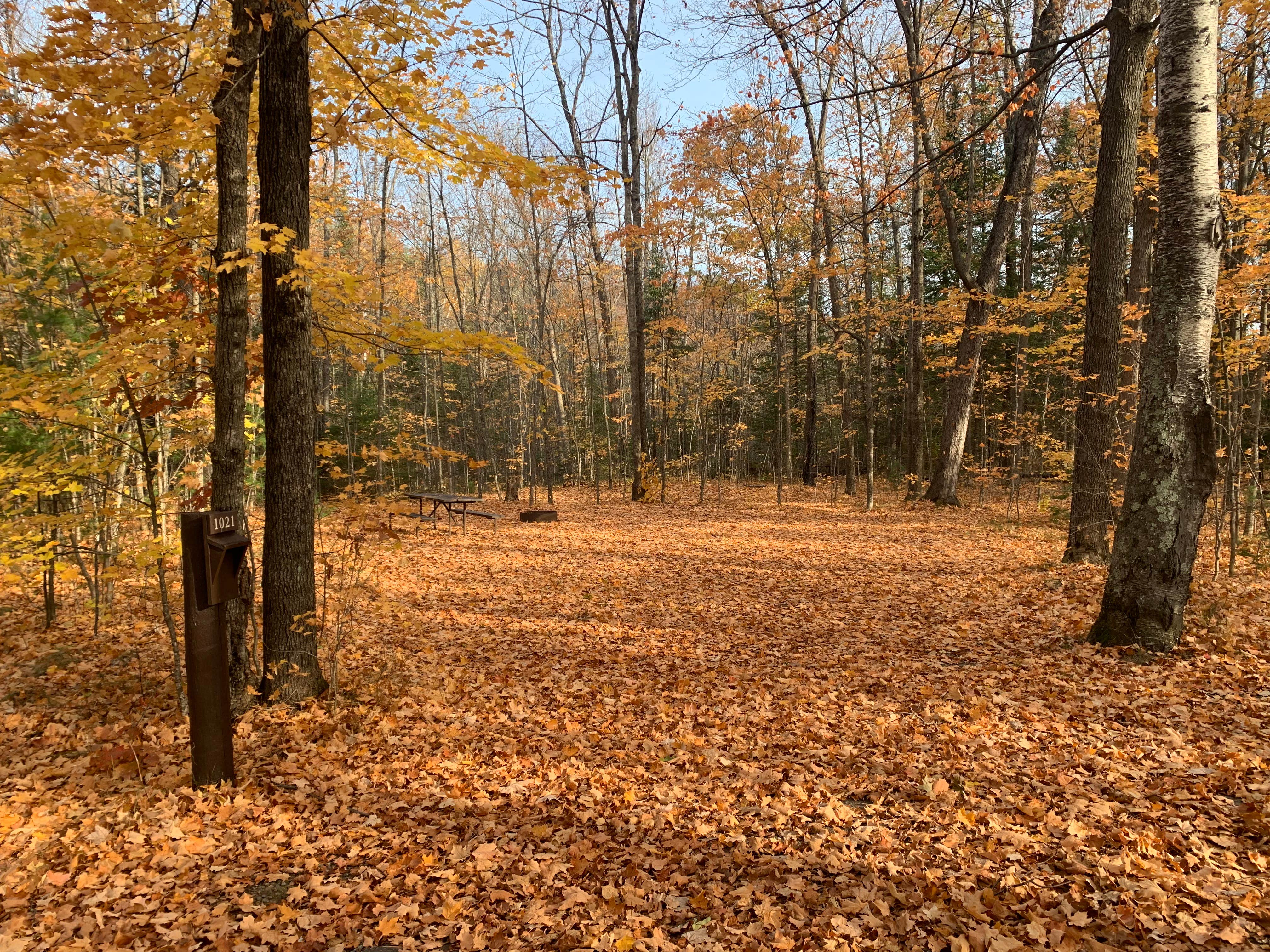 Camper-submitted photo at South Trout Lake — Northern Highland State Forest near Boulder Junction, WI