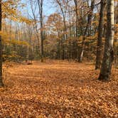 Review photo of South Trout Lake — Northern Highland State Forest by Scott M., November 11, 2022