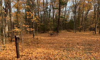 Camping near Starrett Lake Campground: South Trout Lake — Northern Highland State Forest, Boulder Junction, Wisconsin