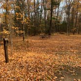 Review photo of South Trout Lake — Northern Highland State Forest by Scott M., November 11, 2022