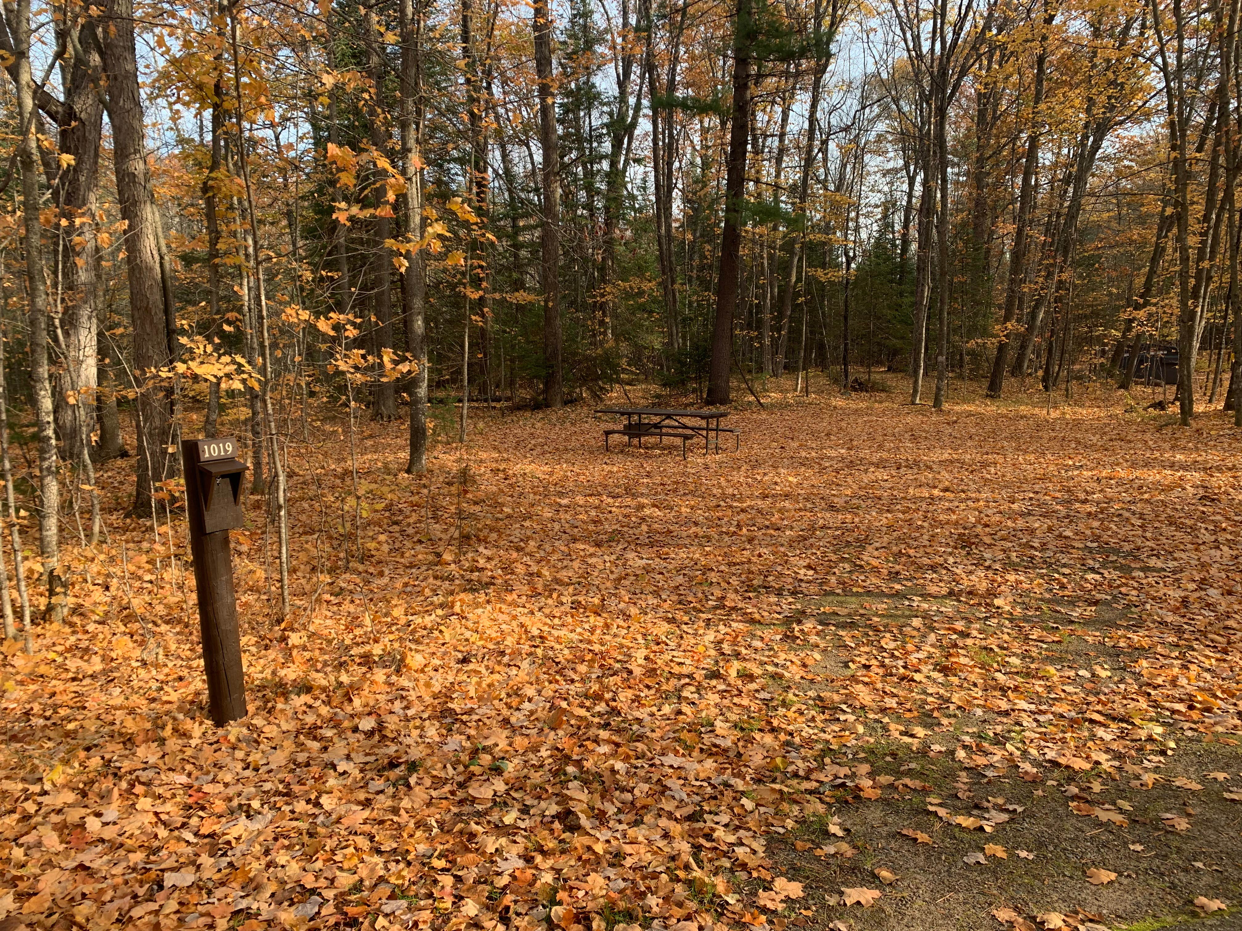 Camper submitted image from South Trout Lake — Northern Highland State Forest - 1