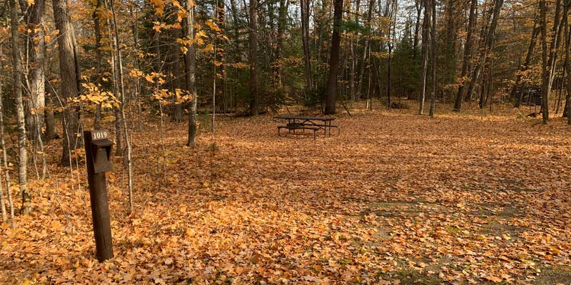 Camper submitted image from South Trout Lake — Northern Highland State Forest