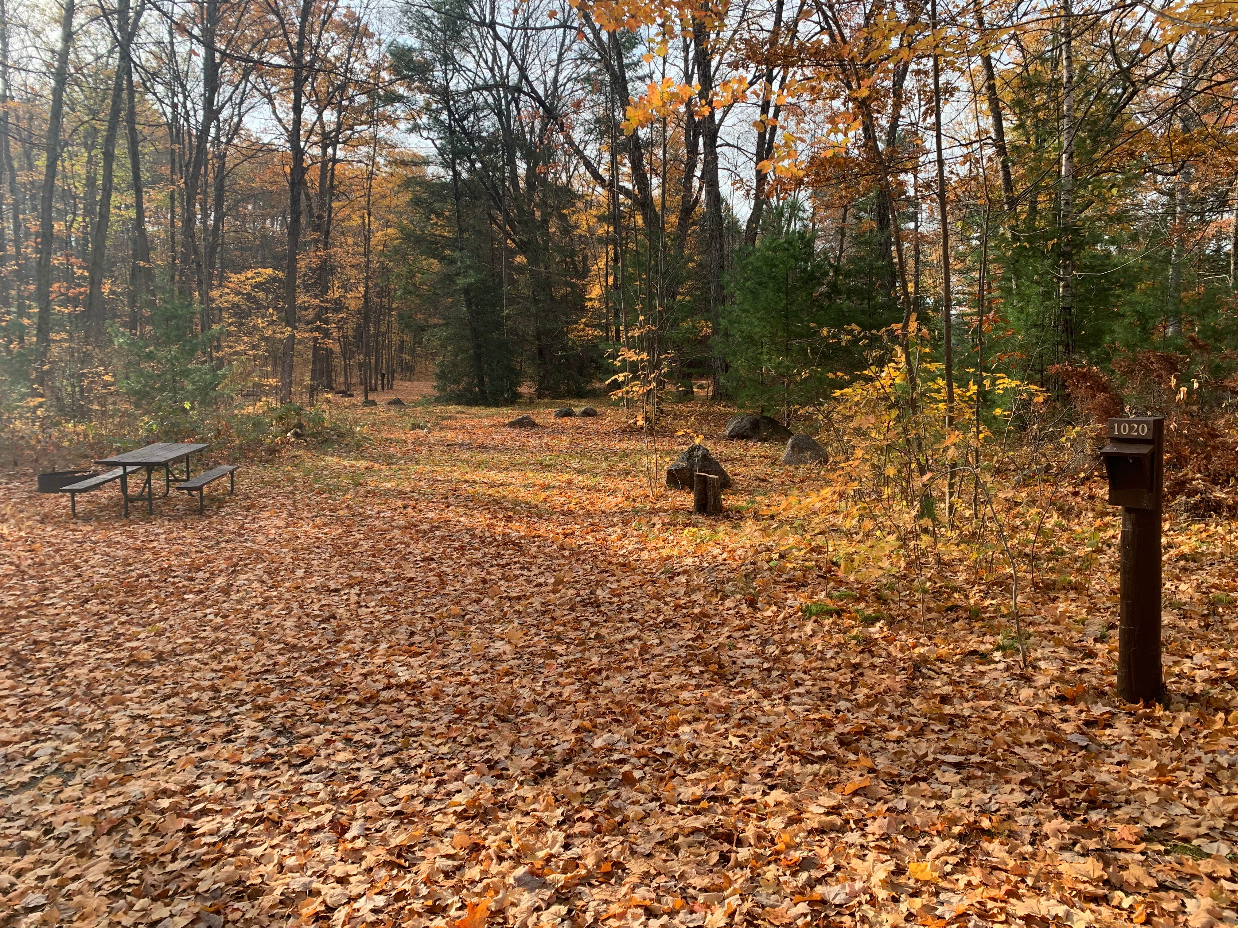 Camper-submitted photo at South Trout Lake — Northern Highland State Forest near Boulder Junction, WI