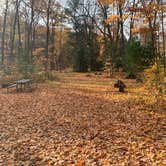 Review photo of South Trout Lake — Northern Highland State Forest by Scott M., November 11, 2022