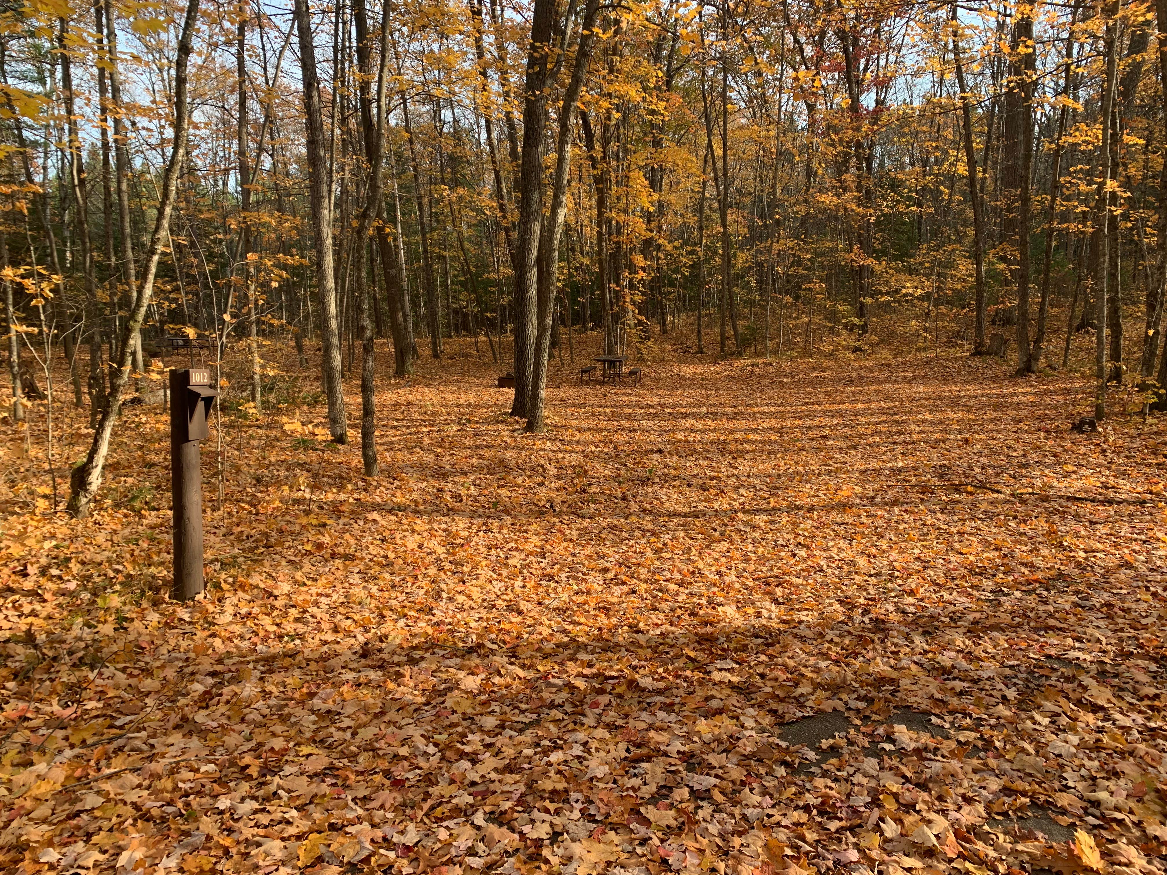 Camper-submitted photo at South Trout Lake — Northern Highland State Forest near Boulder Junction, WI