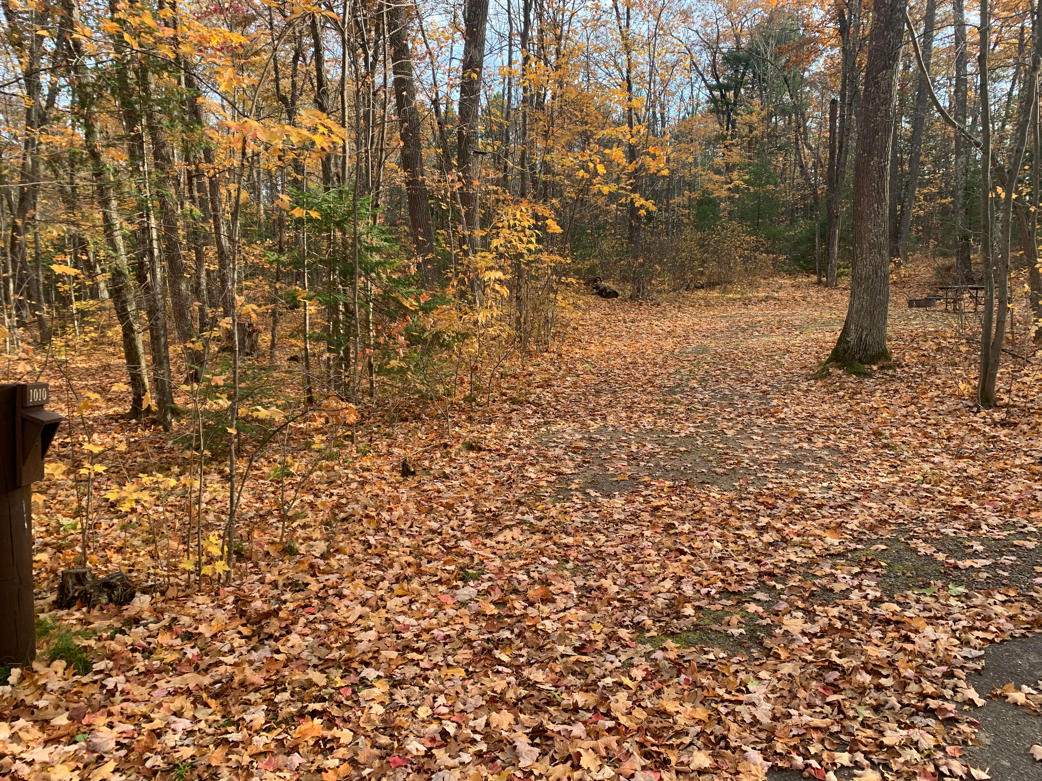 Camper-submitted photo at South Trout Lake — Northern Highland State Forest near Boulder Junction, WI